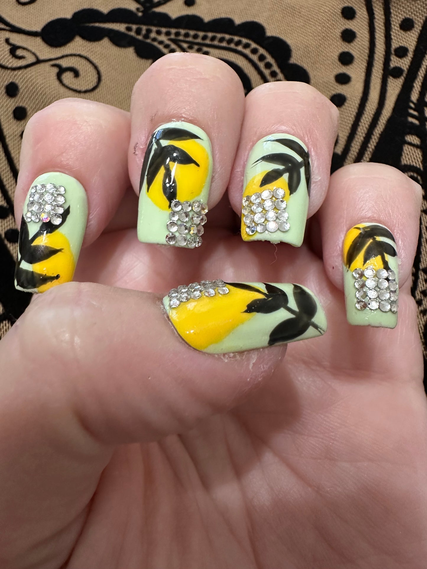 Reminiscent of Rainforests